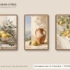 Tranh bộ Citrus – Trái Cam Tươi Sáng - ảnh 1