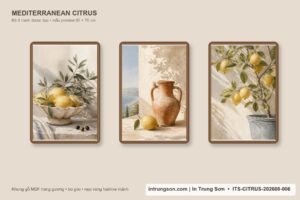 Chính diện bộ 3 tác phẩm