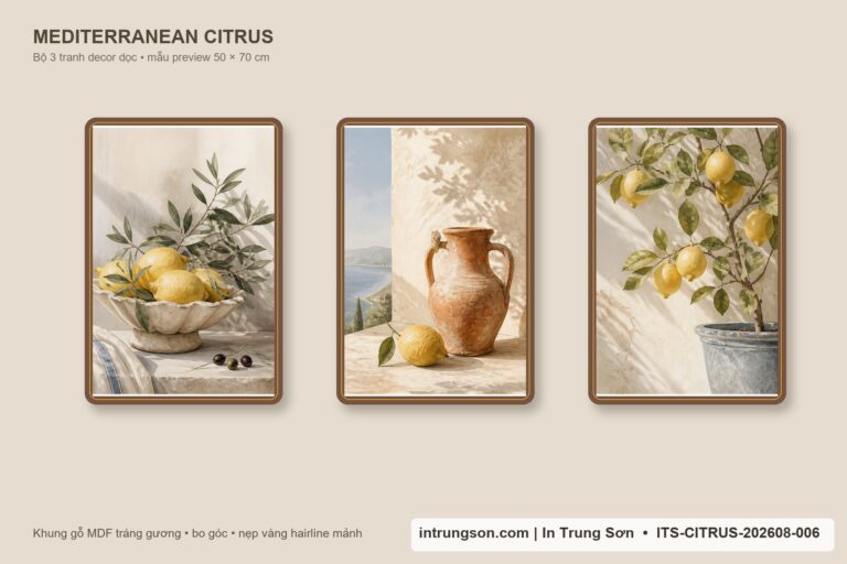 Tranh bộ Citrus – Trái Cam Tươi Sáng