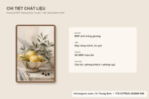 Phối cảnh 4